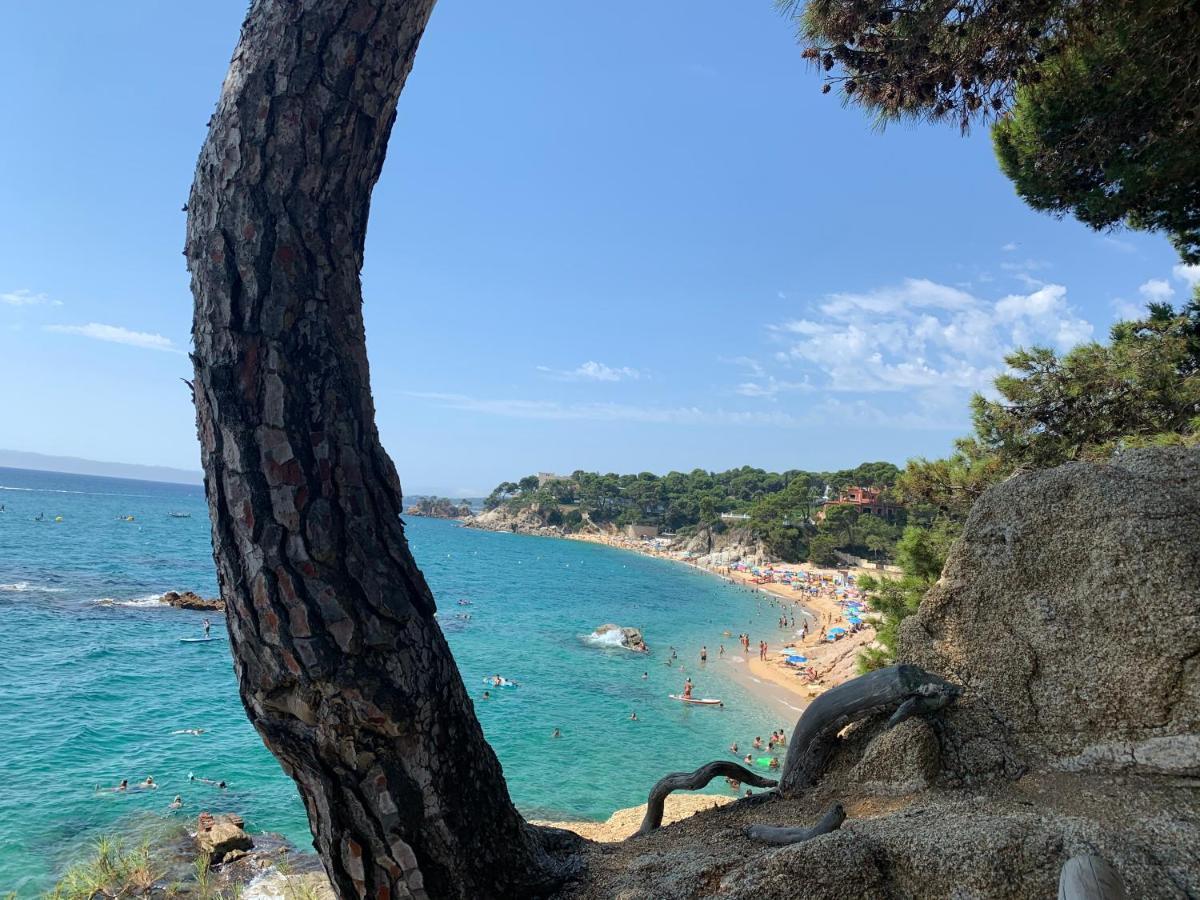 Antonella II Platja d'Aro Exterior foto